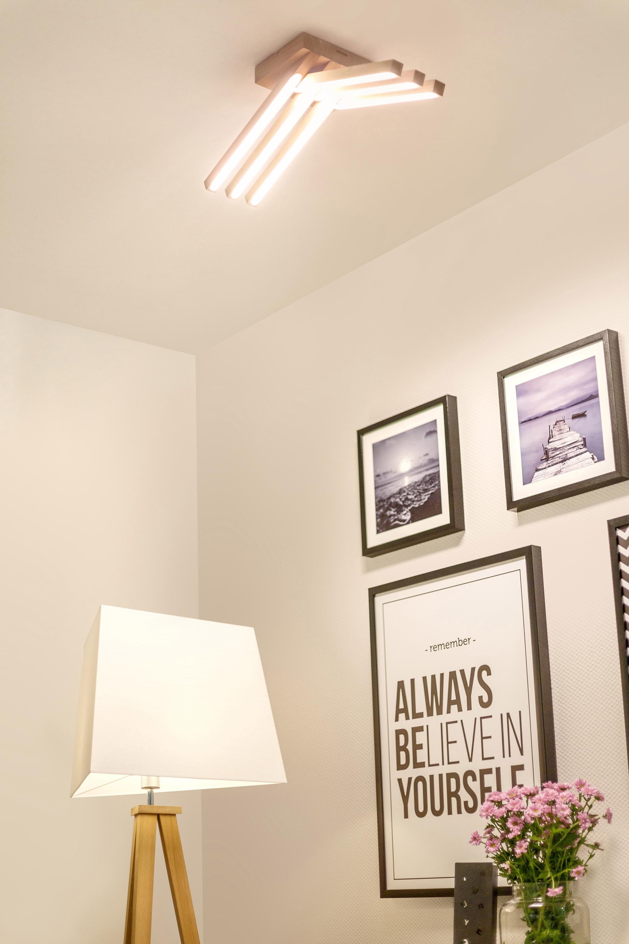 SPOT Light LED | BAUR Deckenleuchte LED »LINUS«, Deckenlampe