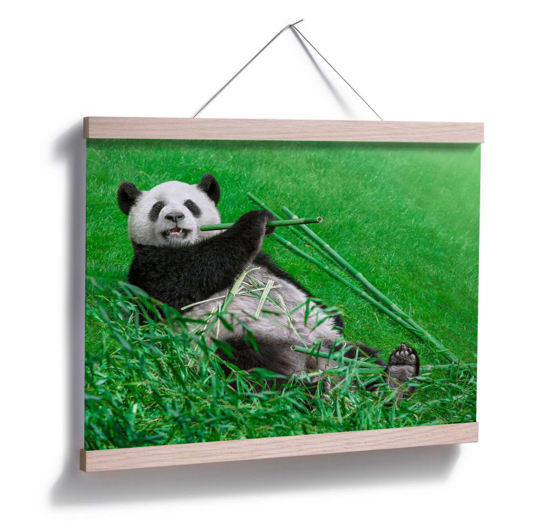 Wandbild, Bambus | Wall-Art Wandposter Poster Tiere, BAUR »Waldtiere bestellen St.), (1 Panda«, Poster, Bild,