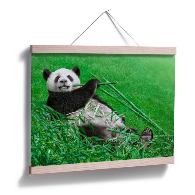 Wall-Art Poster »Waldtiere Bambus Panda«, Tiere, (1 St.), Poster, Wandbild,  Bild, Wandposter bestellen | BAUR