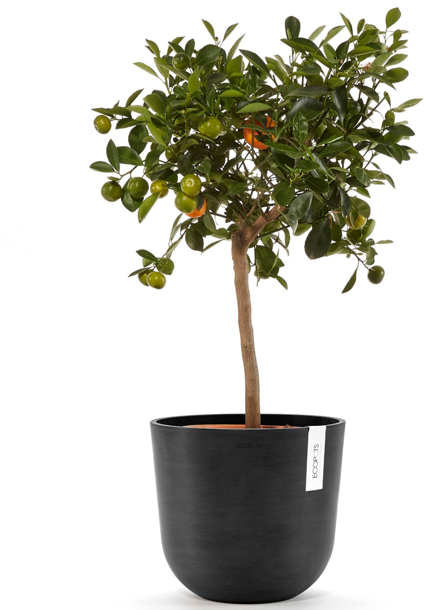 ECOPOTS Blumentopf »Oslo 25 Dunkelgrau«, für innen und außen: frostsicher, bruchsicher und lichtbeständig