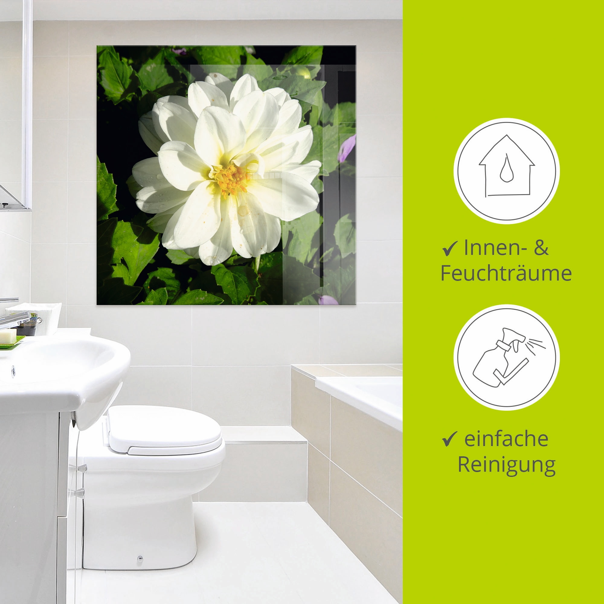 Artland Glasbild »Weiße Dahlienblüte«, Blumen, (1 St.), in verschiedenen Größen