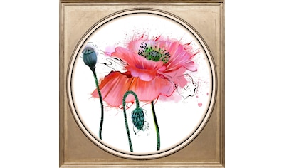 queence Acrylglasbild »Mohnblüte« kaufen