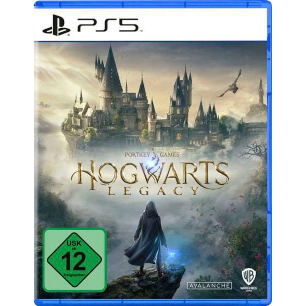 PlayStation 5 Wireless-Headset »Hogwarts Legacy + Pulse 3D schwarz«, Wireless, True Wireless