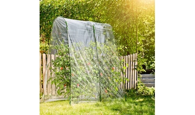Windhager Pflanztunnel »Tomaten-Folientunnel«, transparentes Folienzelt für optimalen... kaufen