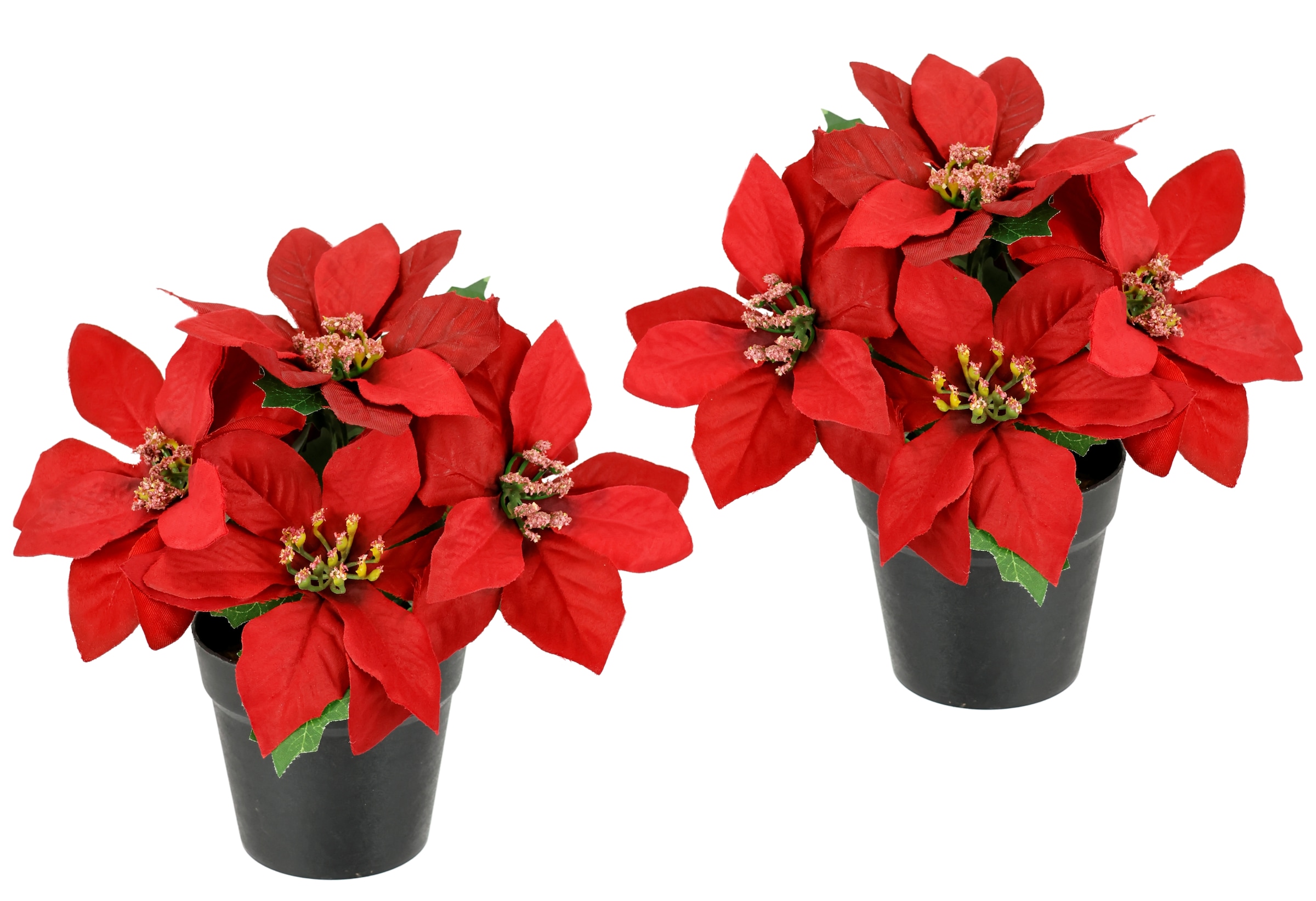 Kunstblume »Poinsettia im Topf«, 2er Set Künstliche Blume Weihnachtsstern Christstern...