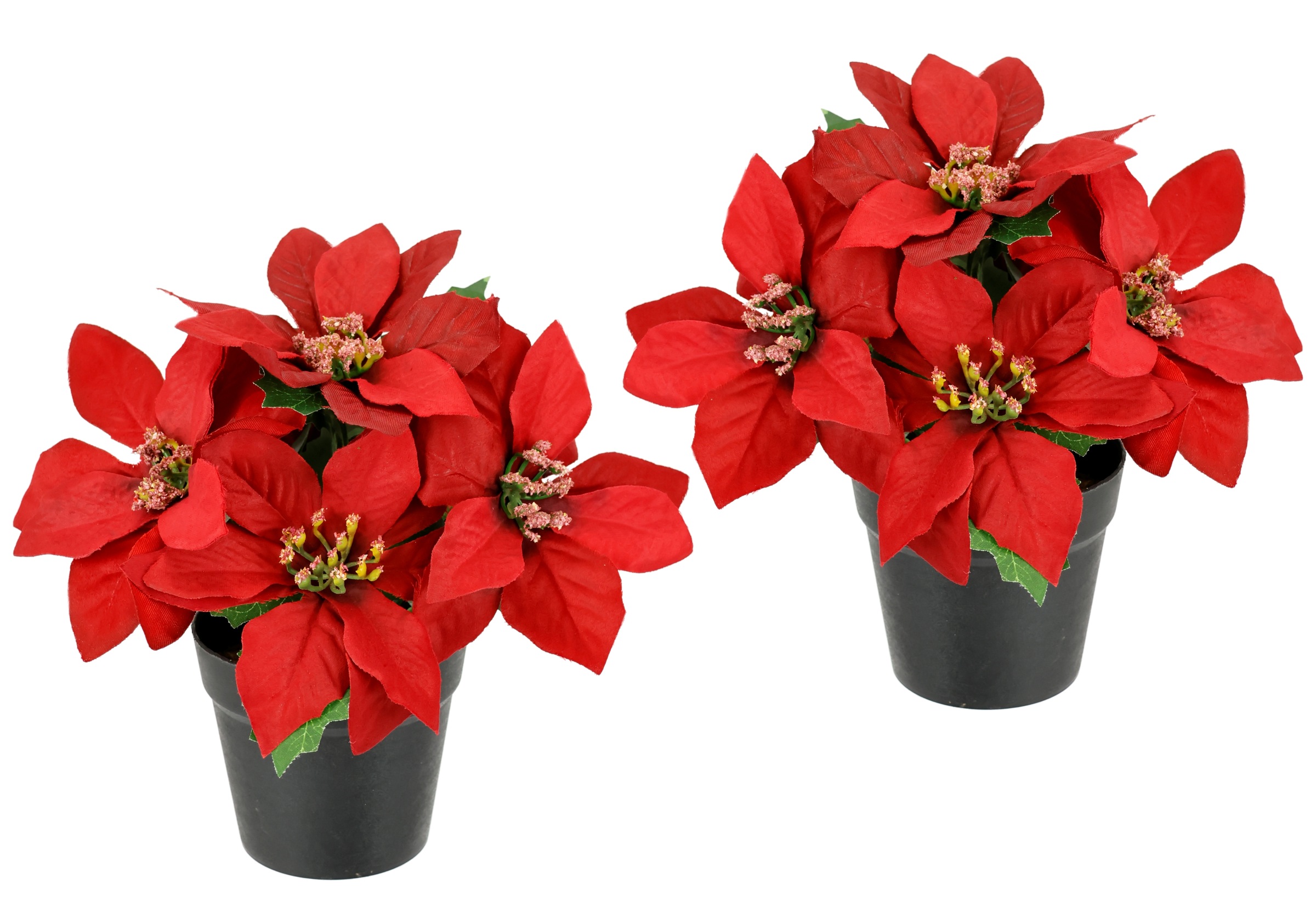 I.GE.A. Kunstblume "Poinsettia im Topf" 2er Set Künstliche Blume Weihnachts günstig online kaufen