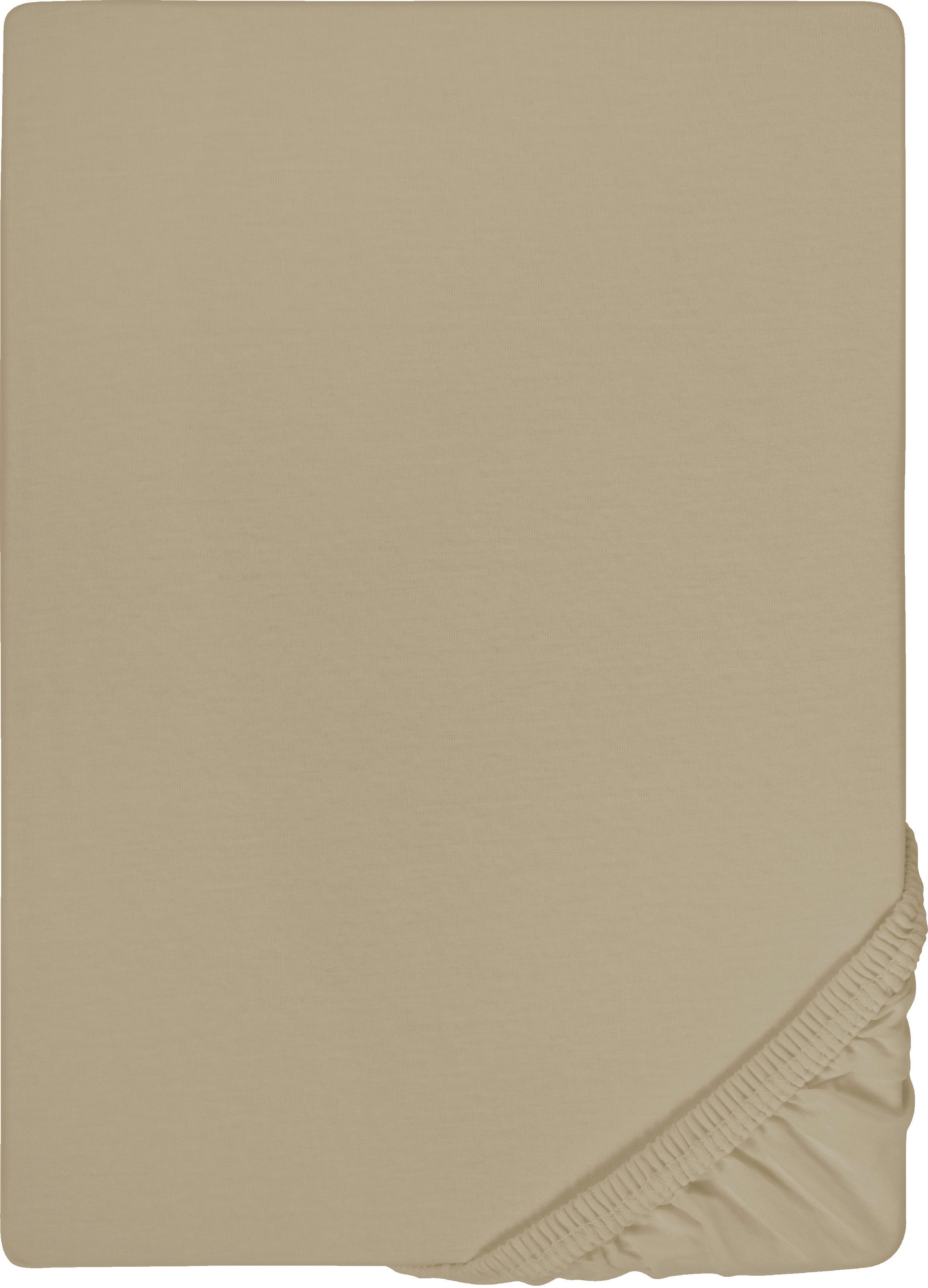 Biberna Spannbettlaken "0077866 Deluxe Jersey-Elastic Spannbetttuch 97% Baumwolle" Jersey mit Elasthan, Rundumgummi, bügelfrei, ab Größe 90 x 190 cm i