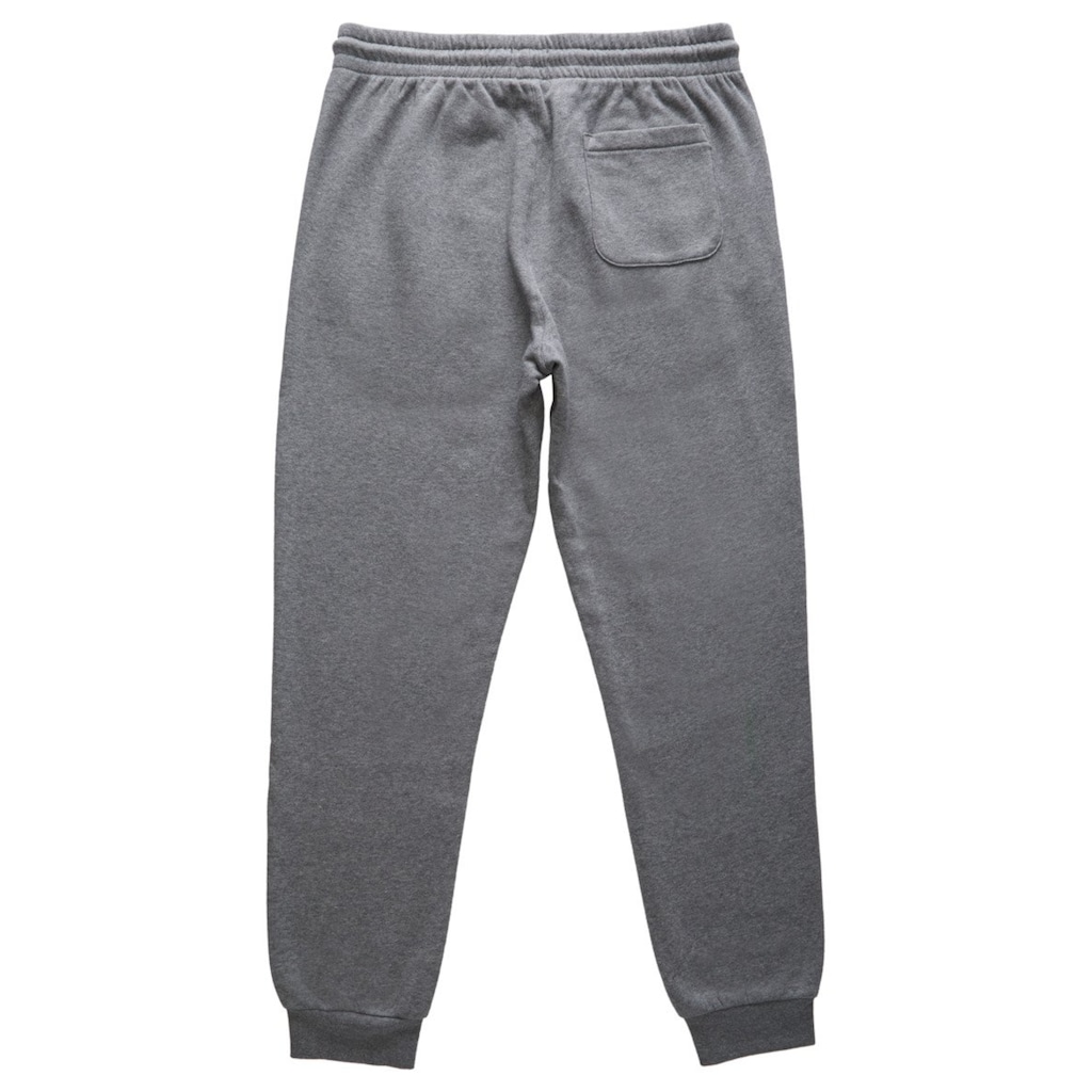 DC Shoes Jogger Pants »Riot«