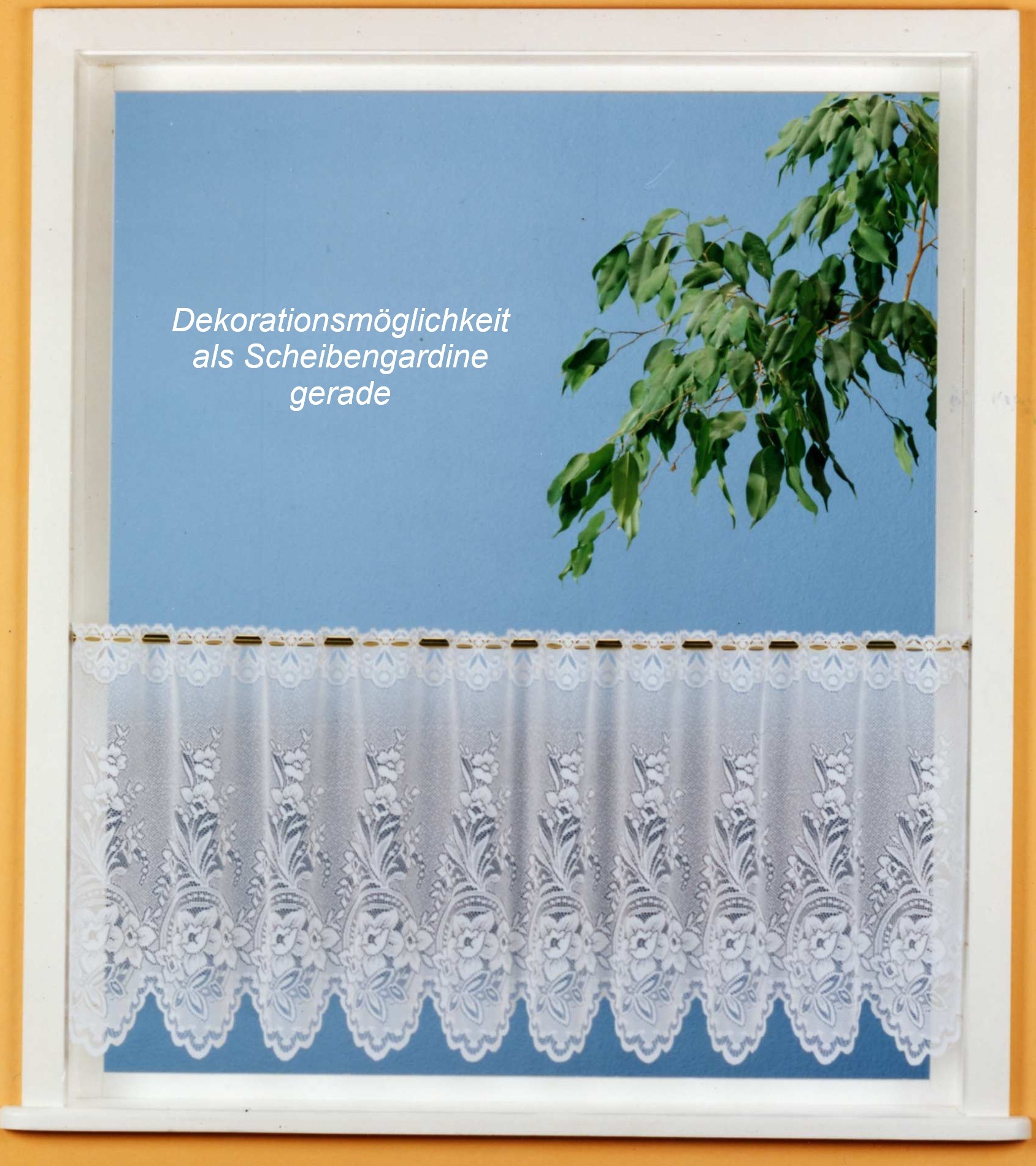 Weckbrodt Scheibengardine "Ella" Stangendurchzug 1 tlg. Bistro, Gardine, St günstig online kaufen