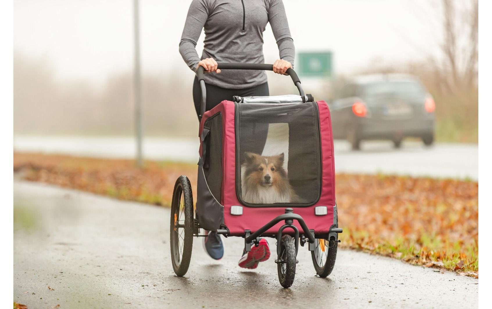 TRIXIE Fahrradträger-Erweiterung »Jogger-Umbausatz für Fahrrad-Anhänger #12781«