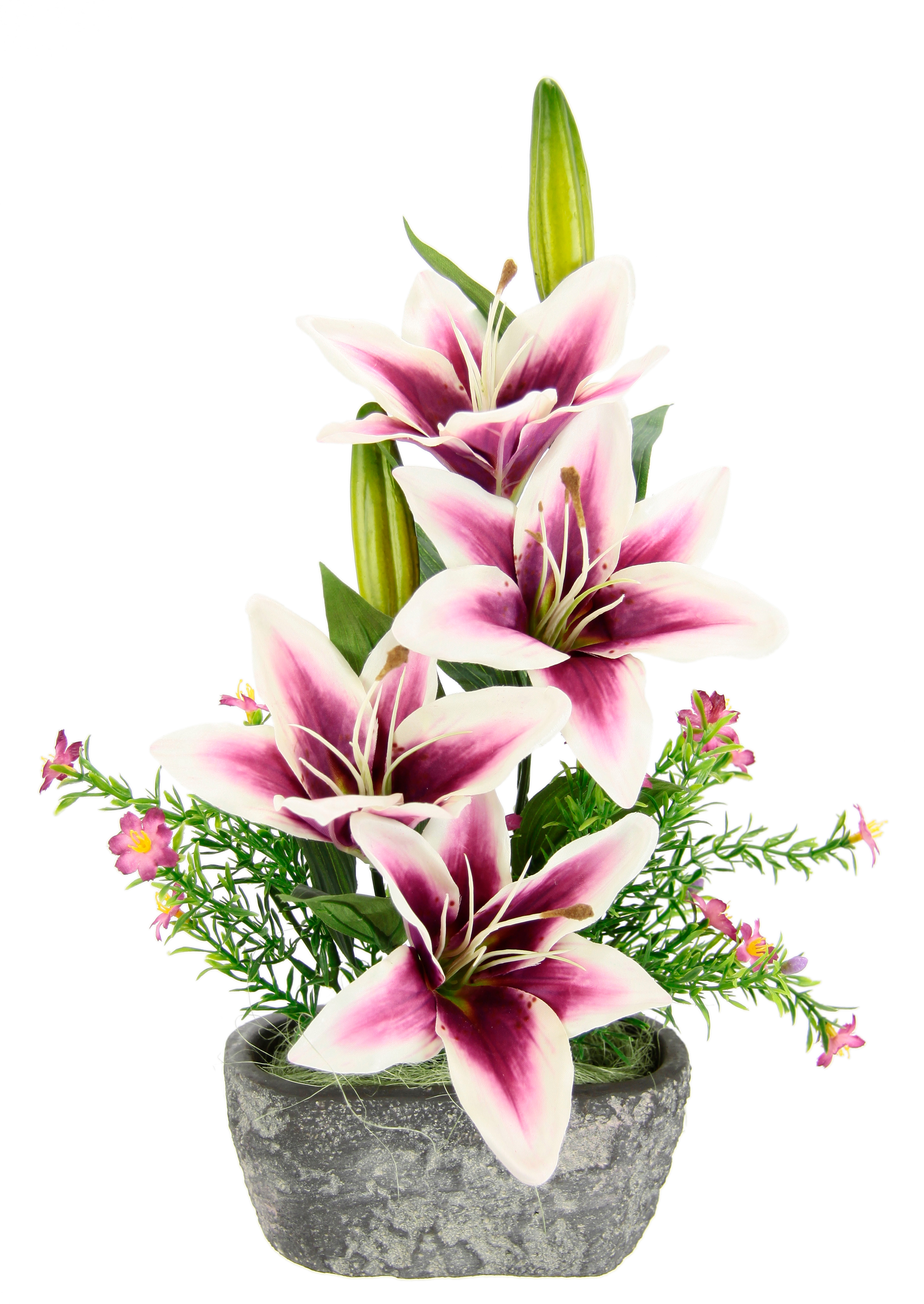 OTTO home Kunstpflanze Arrangement im Topf