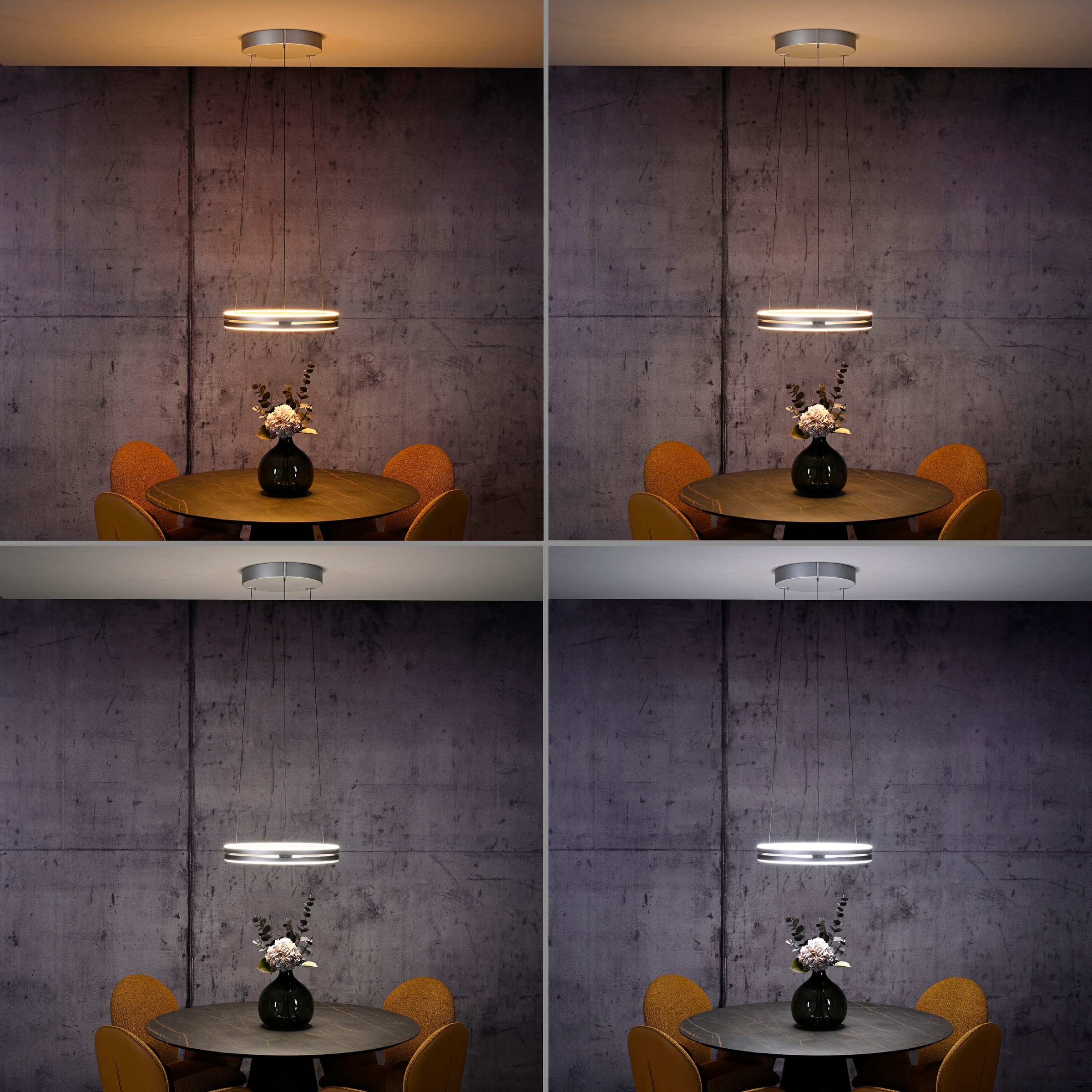 Neuhaus PURE LED Pendelleuchte »PURE E-Loop« LED-Board 1 Stk. warmweiß - kaltweiß e-LIFT® Funktion, CCT, dimmbar über Fernbedienung