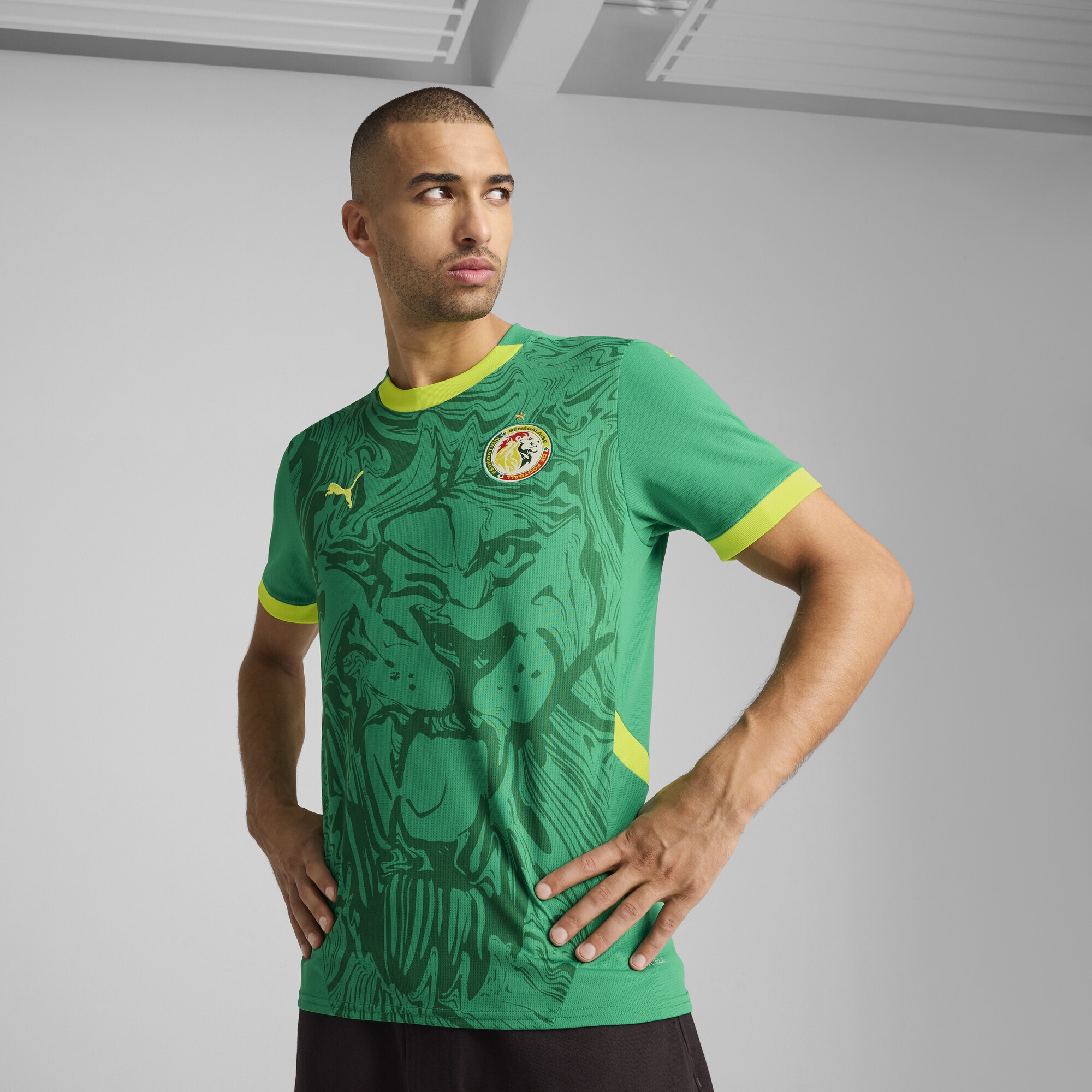 PUMA Trainingsshirt »Senegal 2025 Auswärtstrikot Herren«