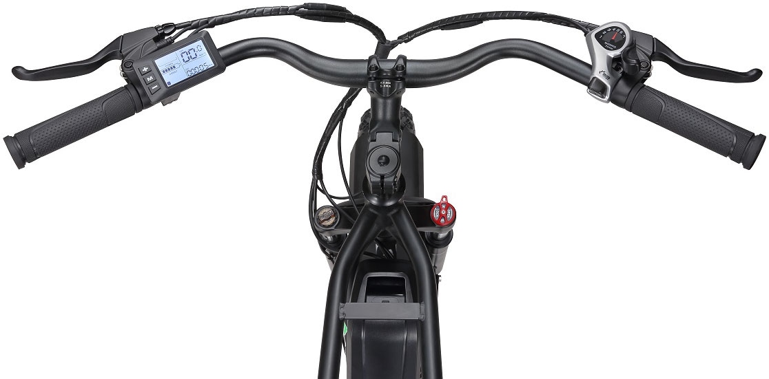 GreenStreet E-Bike »California«, 7 Gang, Shimano, Heckmotor 250 W, Pedelec, Elektrofahrrad für Damen u. Herren, MTB