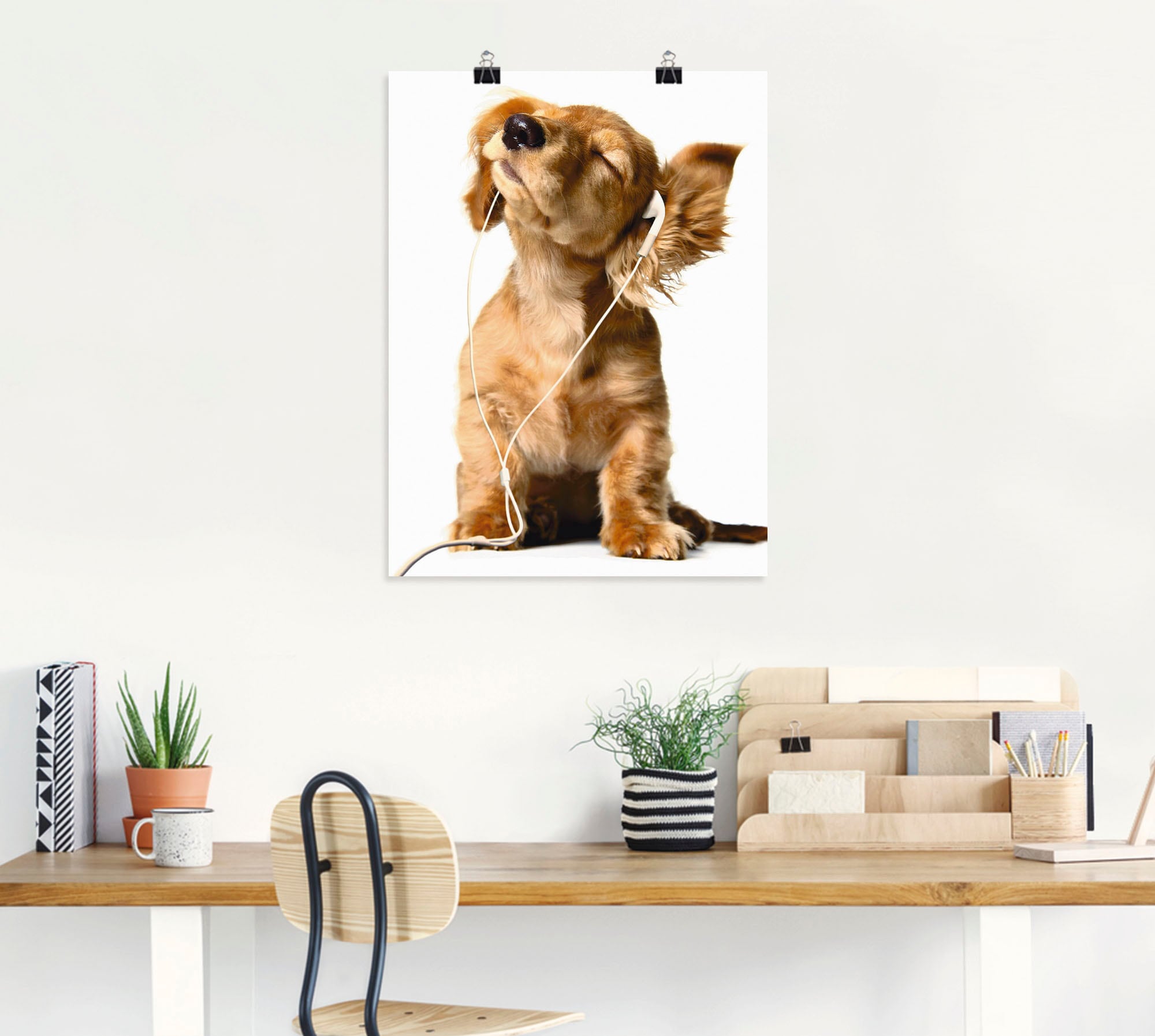 Artland Wandbild »Junger Hund hört Musik über Kopfhörer«, Haustiere, (1 St.), als Leinwandbild, Poster, Wandaufkleber in verschied. Größen