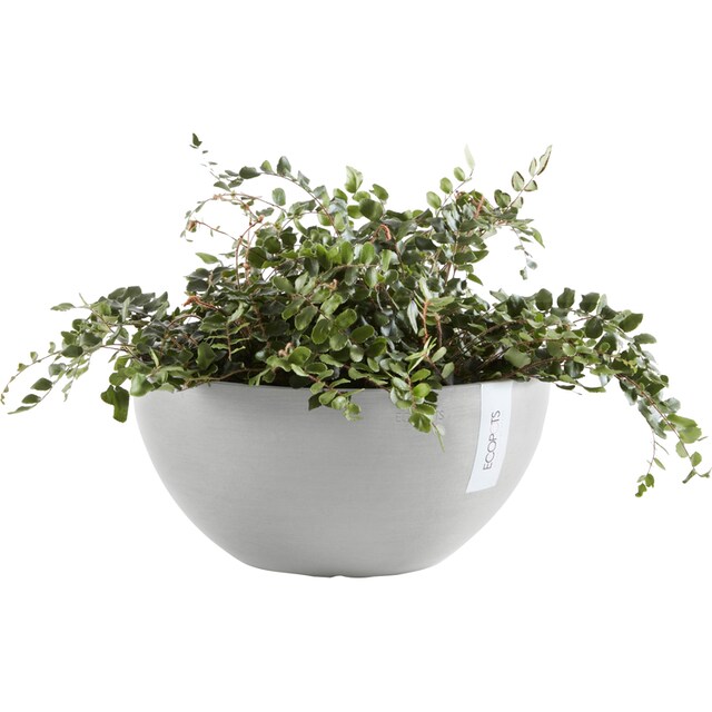 ECOPOTS Blumentopf »BRUSSELS White Grey«, BxTxH: 25x25x12 cm bestellen |  BAUR