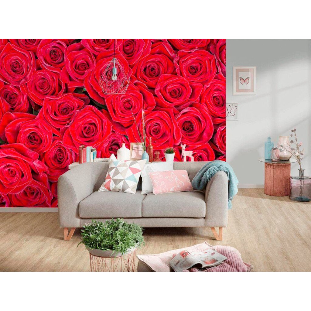 living walls Fototapete »rote Rosen«