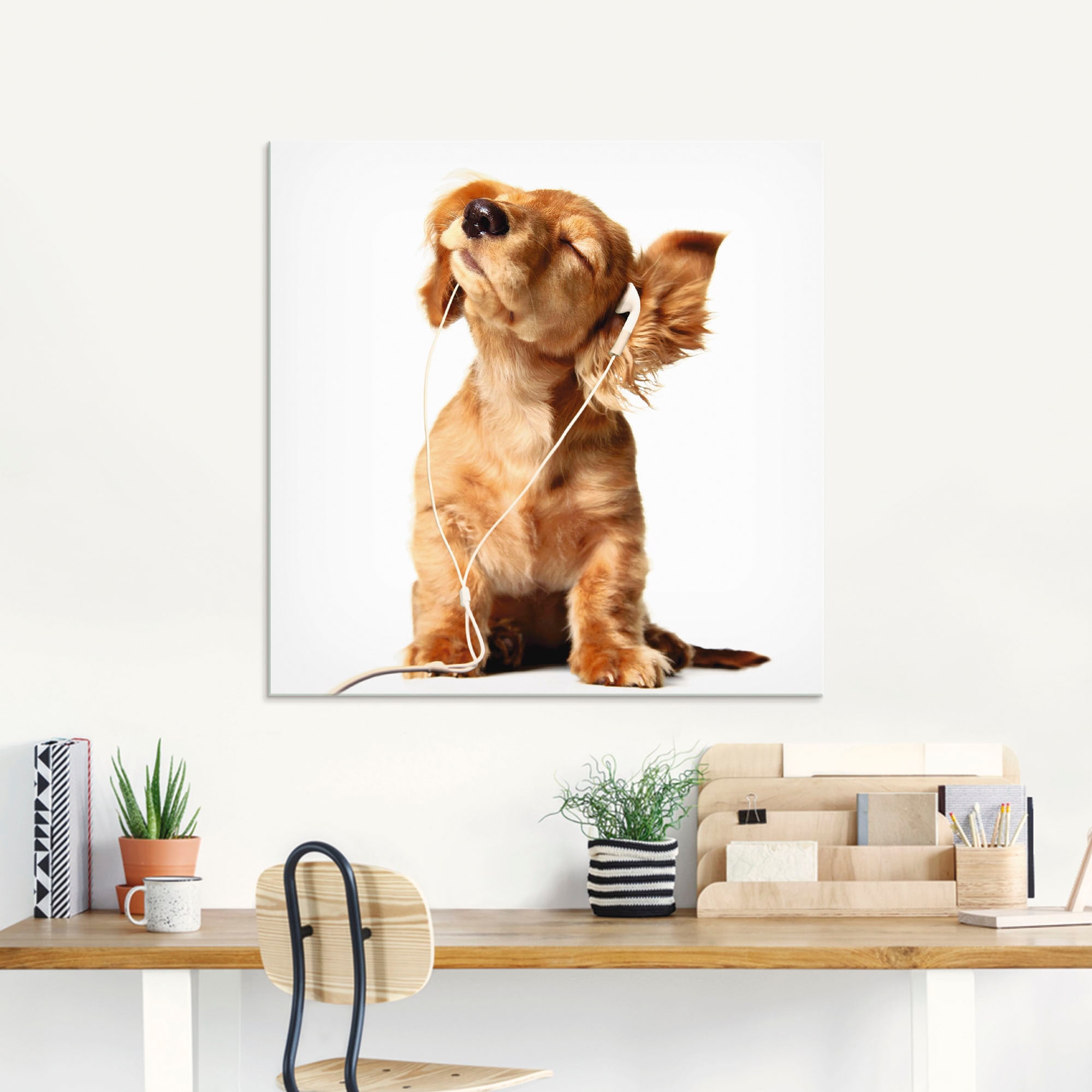 Artland Glasbild »Junger Hund | hört Größen Kopfhörer«, Musik über bestellen Haustiere, St.), verschiedenen (1 BAUR in