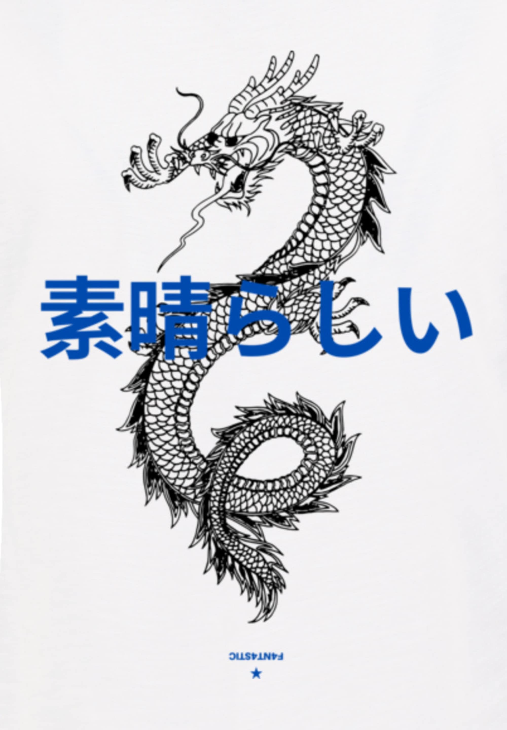 F4NT4STIC T-Shirt »PLUS SIZE Dragon Drache Japan«, Print