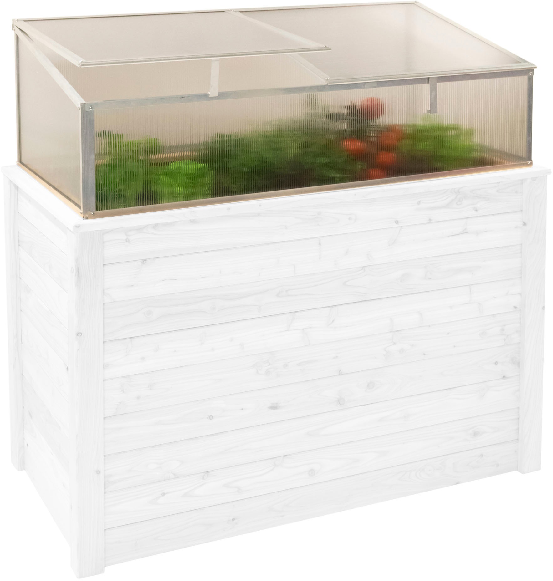 WESTMANN Frühbeetaufsatz »Genus 130« BxTxH: 125x62x41 cm