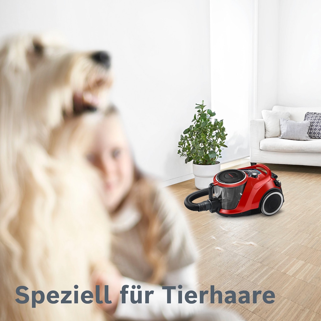 BOSCH Bodenstaubsauger »Serie 6 ProAnimal BGC41PET, ideal für Tierhaare, Hygiene-Filter«, 750 W, beutellos