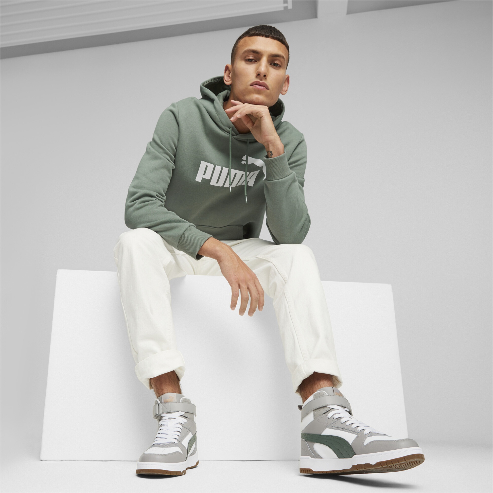 PUMA Sweatshirt »Essentials Big Logo Herren-Hoodie« ▷ bestellen | BAUR