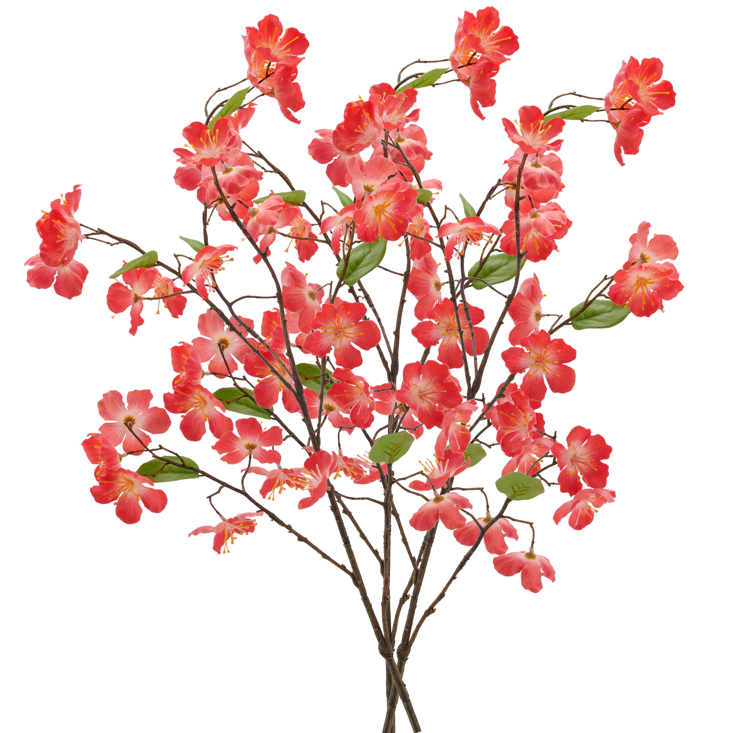 Creativ green Kunstzweig »Kirschblütenzweig« mit traumhaft schönen Blüten