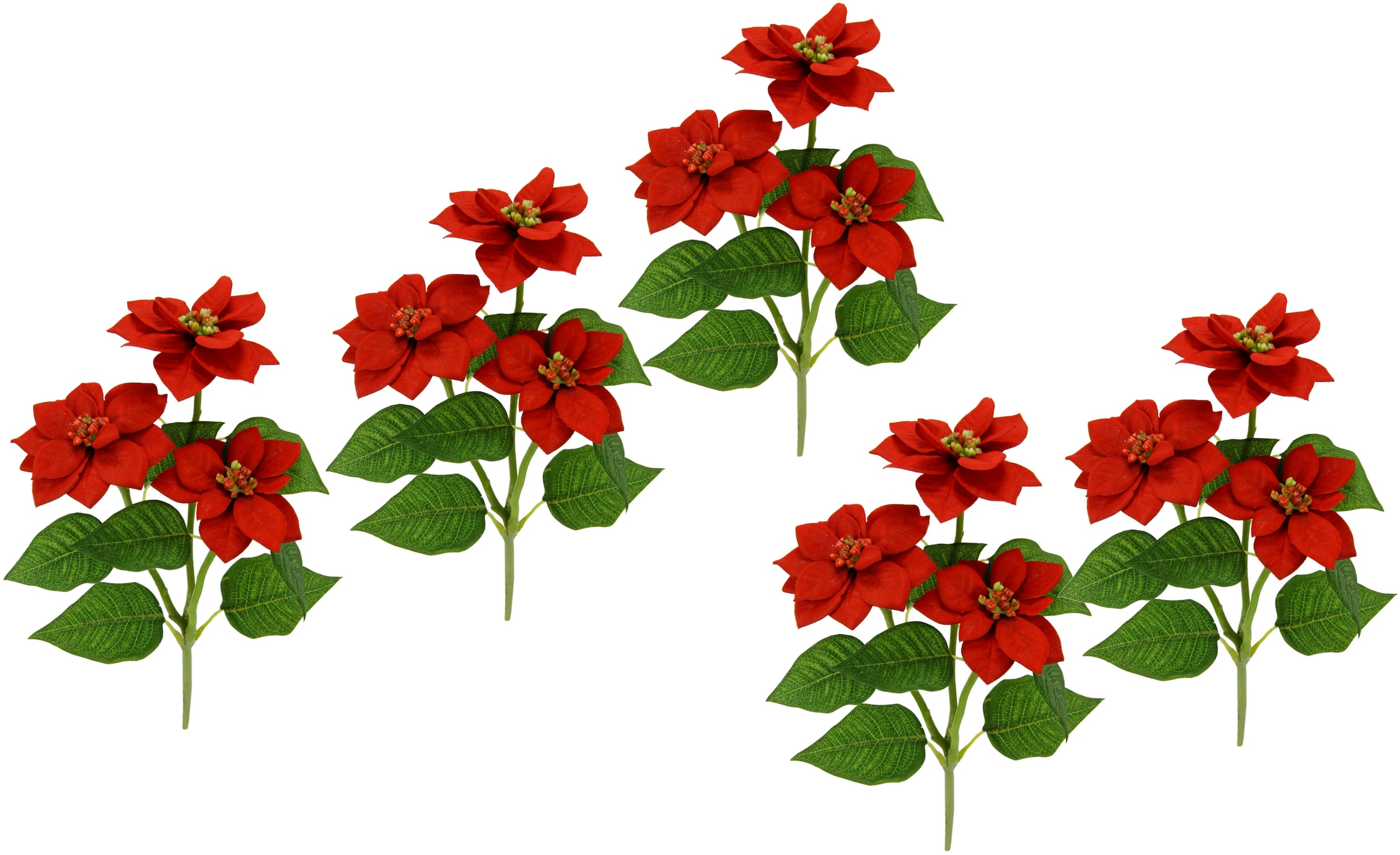 I.GE.A. Kunstblume "Poinsettie", Künstlicher Poinsettiazweig, 5er Set