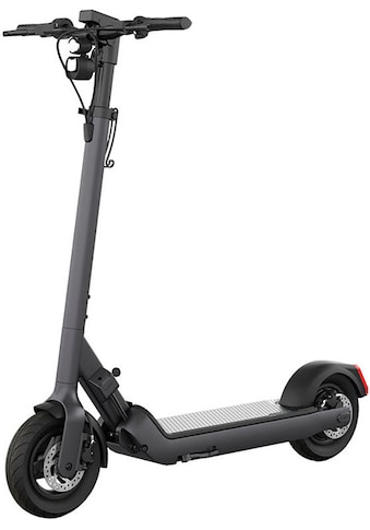 E-Scooter »Egret Pro«, 20 km/h, bis zu 80 km Reichweite, mit Straßenzulassung