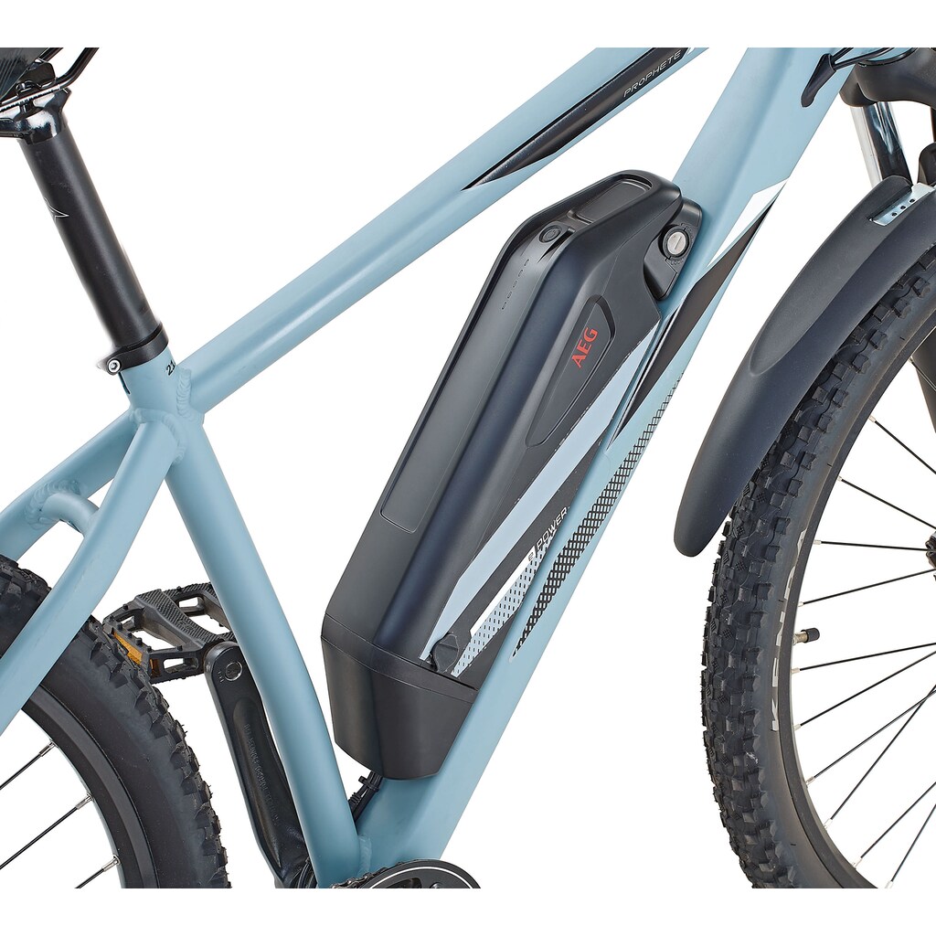 Prophete E-Bike »21.EMM.20 E-MTB 29"«, 9 Gang, Shimano, Alivio, Heckmotor 250 W