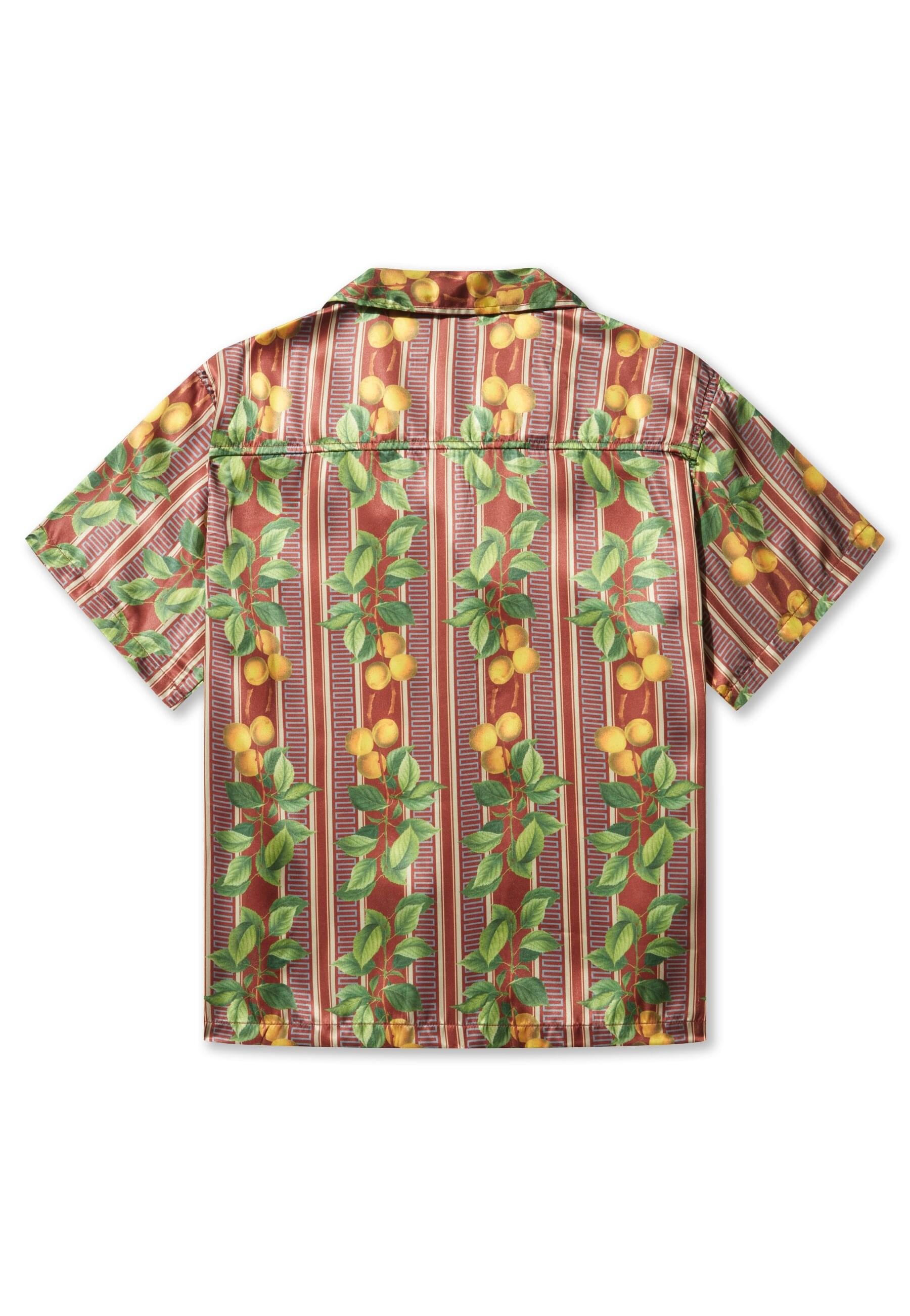 Pas De Monaco Langarmhemd »Pas De Monaco FRUITS CUBAN SHIRT«, (1 tlg.)