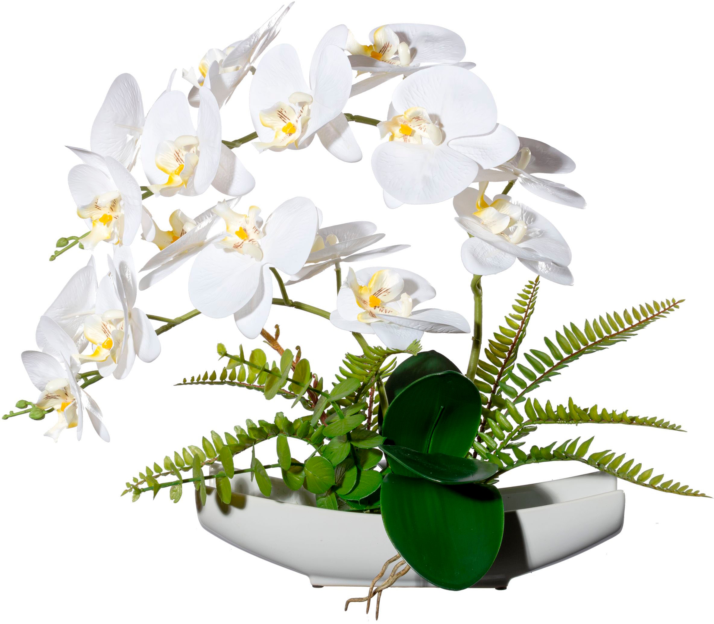 kaufen in Creativ Kunstorchidee BAUR Real-Touch-Blüten Phalaenopsis | green Keramikschale«, »Orchidee mit