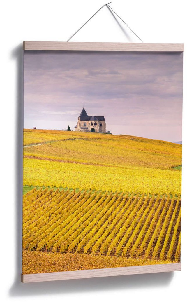 BAUR kaufen »Weinfelder St.), Poster, | Champagne«, Bild, Wandbild, Poster Wall-Art (1 Landschaften, Wandposter