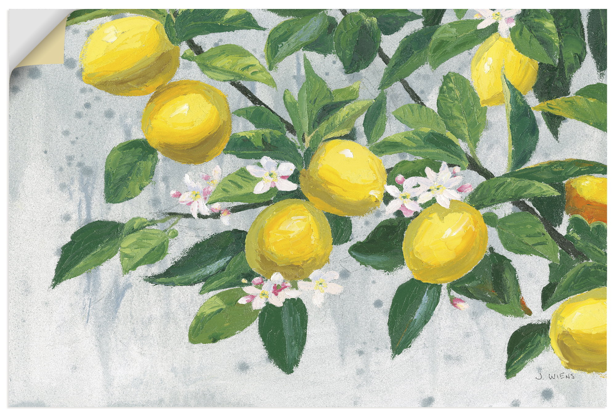 Artland Wandbild "Zesty Lemons" Baumbilder 1 Stk. tlg. als Alubild, Leinwandbild, Poster, Wandaufkleber in verschied. Größen