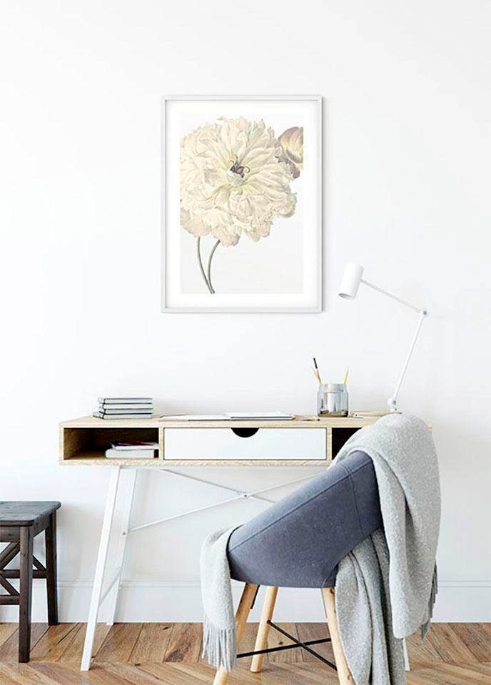 Komar Bild »Illustration Dahlia« Blumen 1 Stk. tlg. Wandbild zur Dekoration - ohne Rahmen