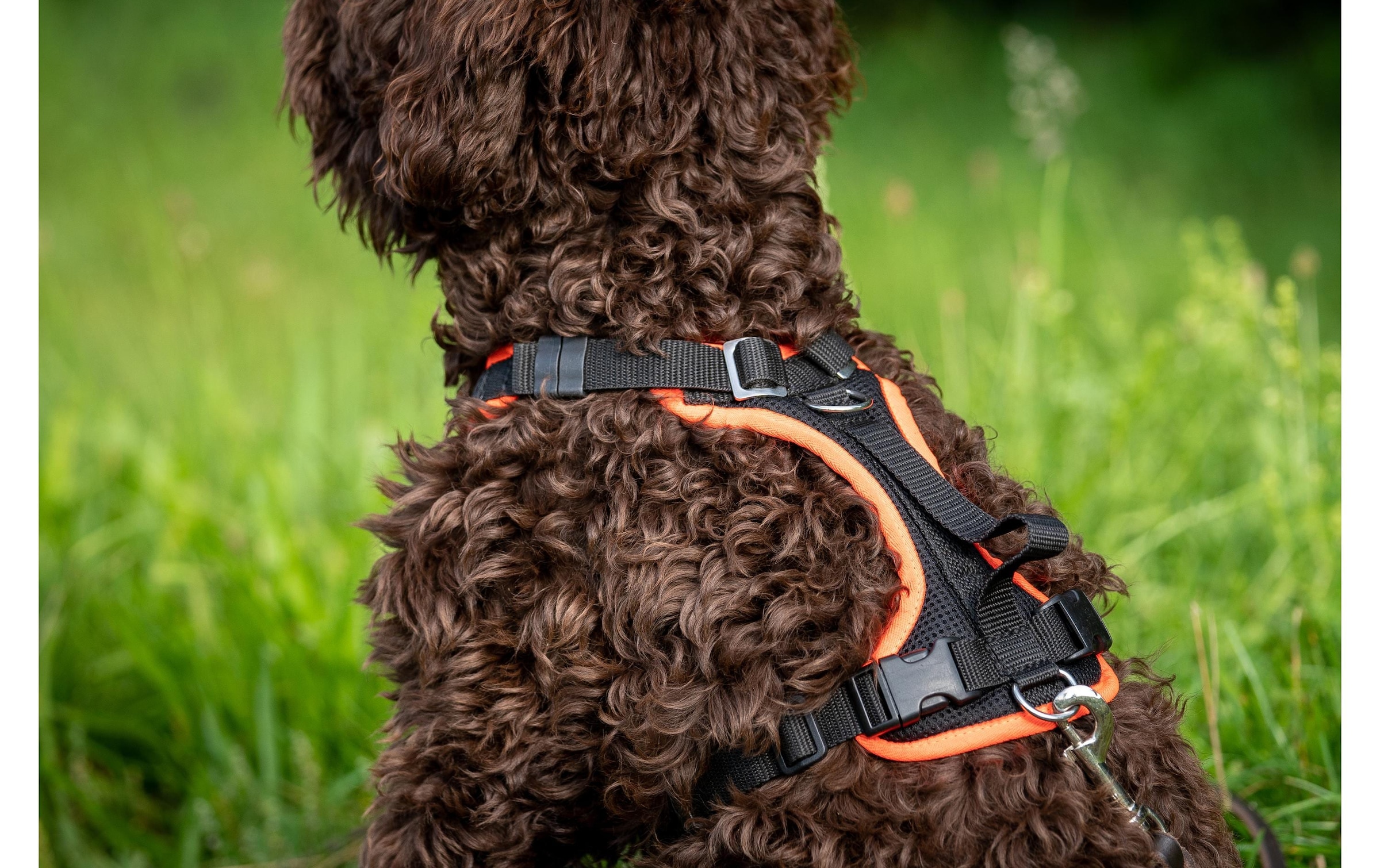   Hunde-Geschirr »Grossenbacher Vary L« Polyester