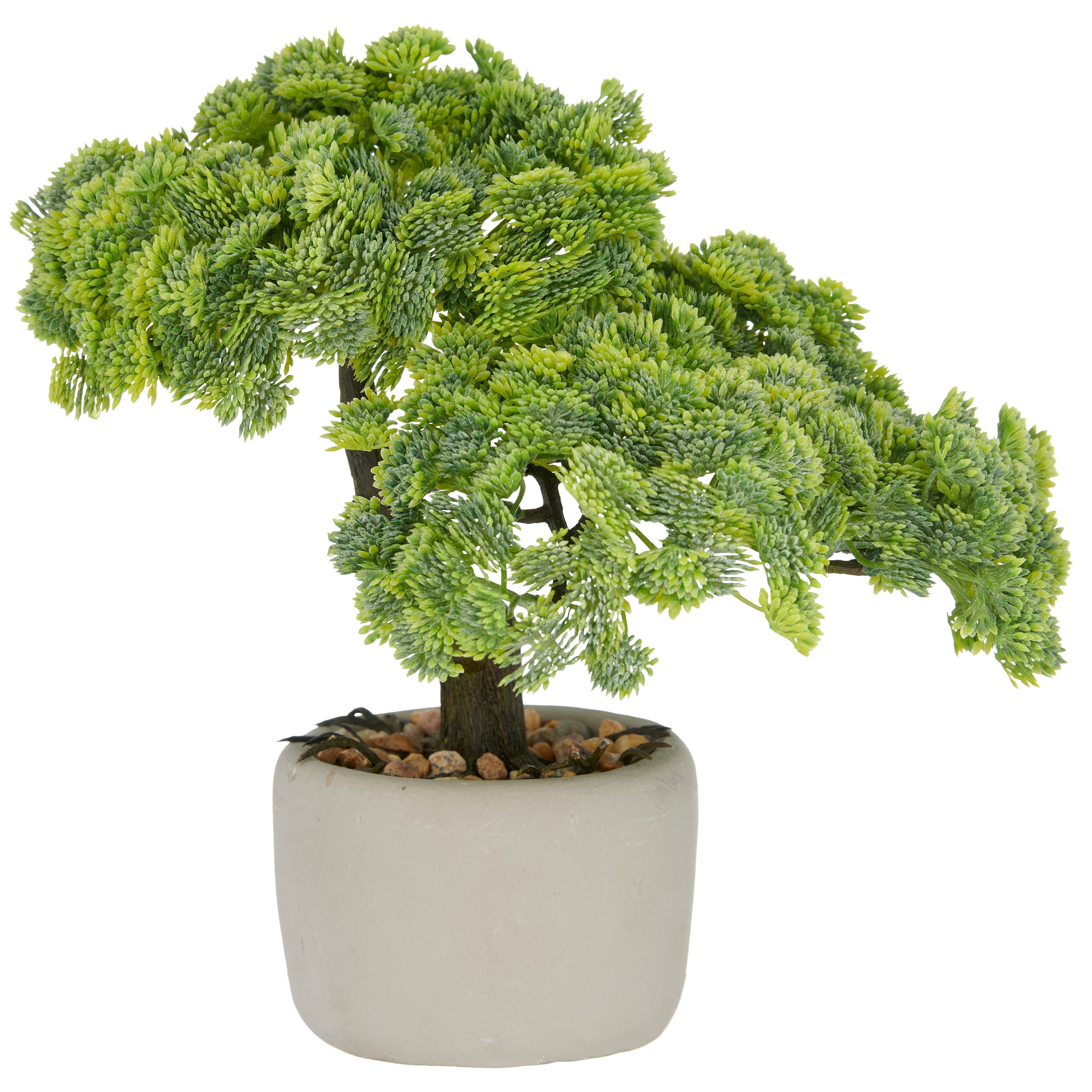 Creativ green Kunstbonsai "Bonsai Sedum multiceps", mit modernem Pflanzgefä günstig online kaufen