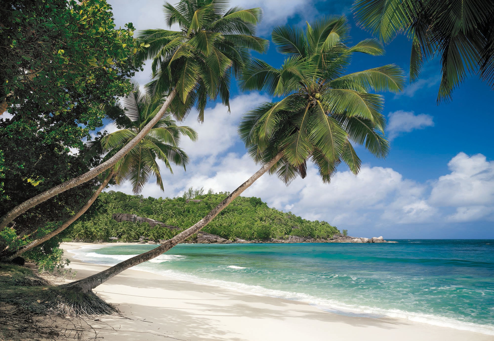 Komar Fototapete "Tropical Sea - Größe 368 x 254 cm" bedruckt glatt Wohnzimmer, Schlafzimmer