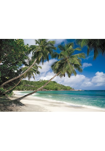 Fototapete »Tropical Sea«, 368x254 cm (Breite x Höhe), inklusive Kleister