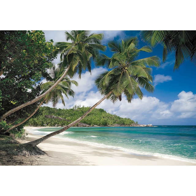 Komar Fototapete »Tropical Sea«, 368x254 cm (Breite x Höhe), inklusive  Kleister online kaufen | BAUR
