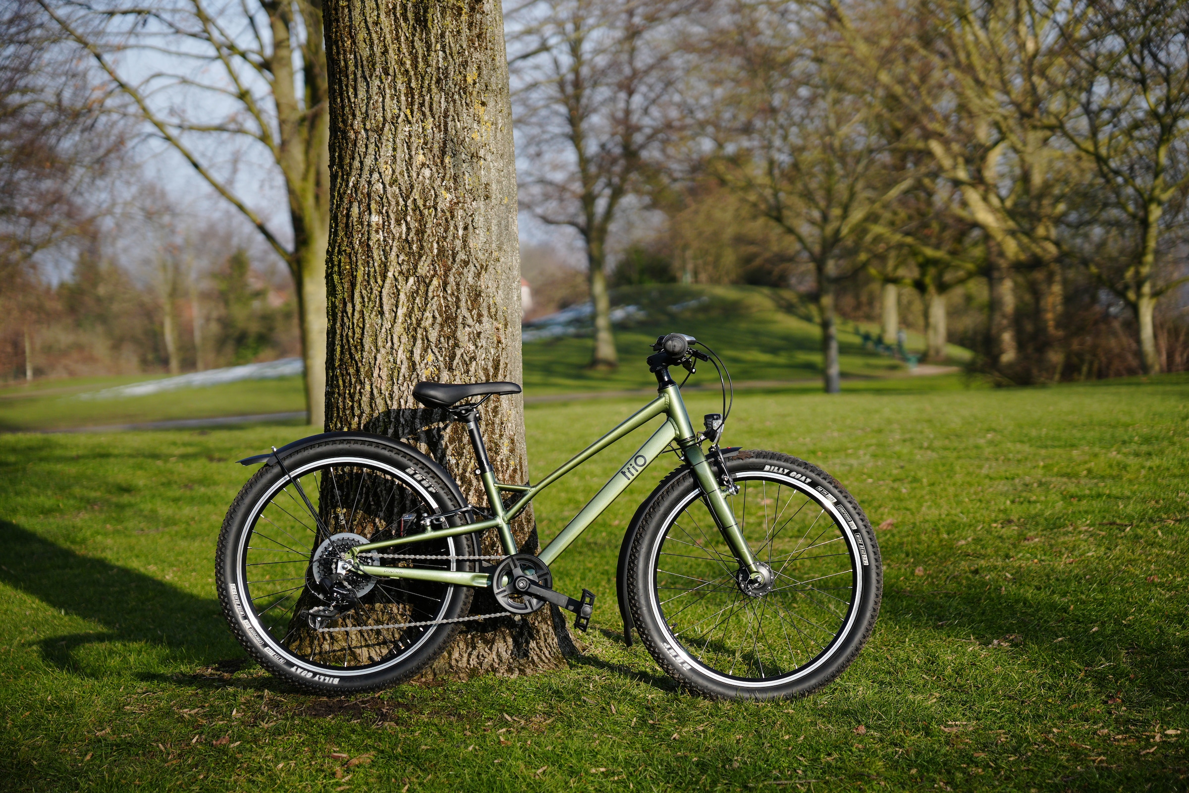 Prophete Kinderfahrrad »Prophete Trio 500« 8 Gang Shimano Tourney Schaltwerk Kettenschaltung