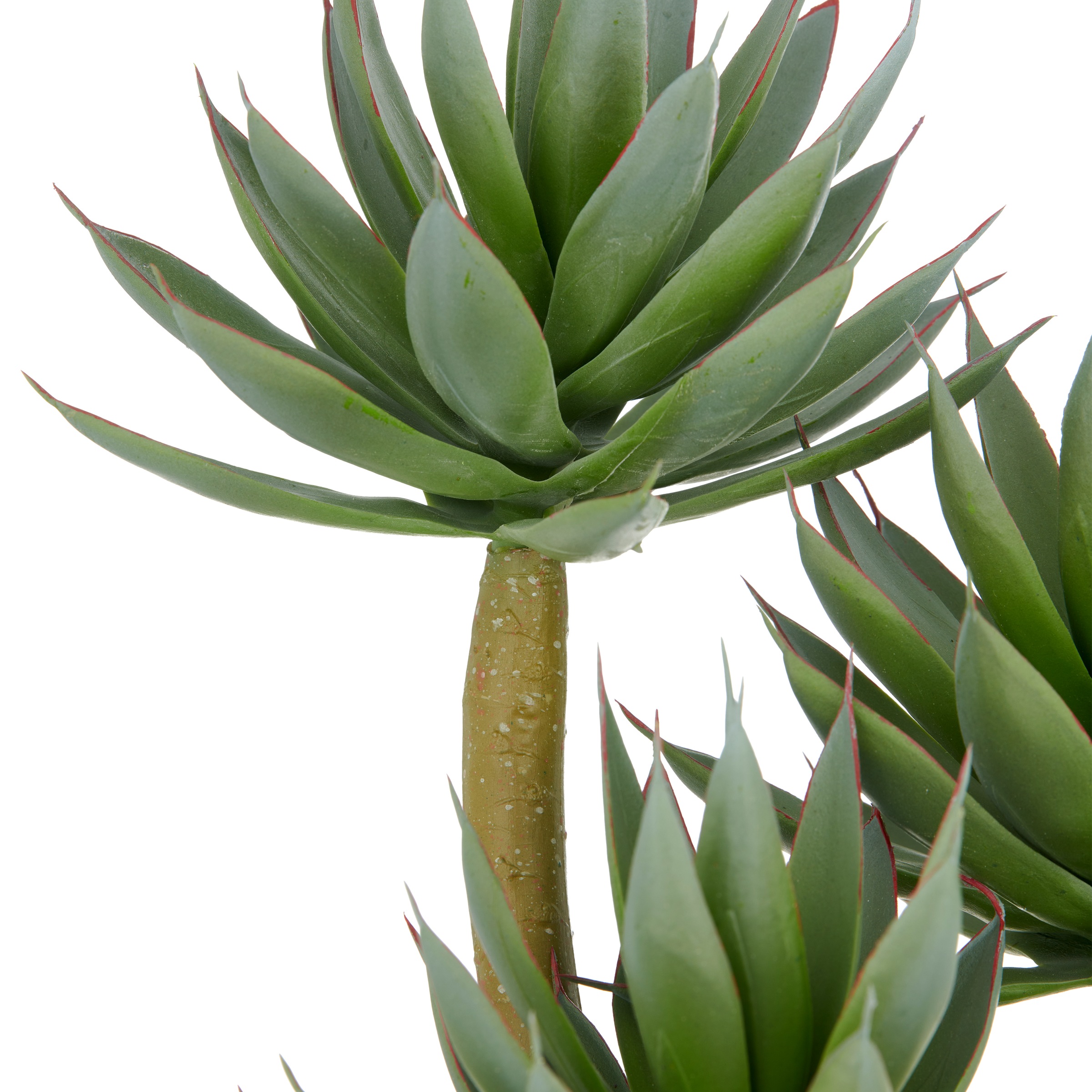 Creativ green Kunstpflanze "Agave blue glow", mit dekorativem Kies günstig online kaufen