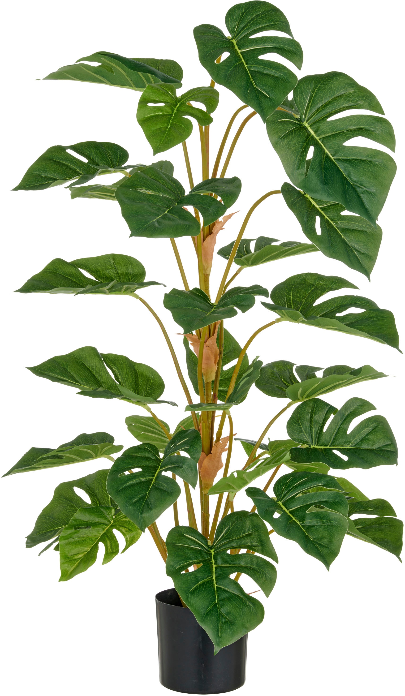 Creativ green Kunstpflanze "Split Philodendron", mit schönem Blattwerk günstig online kaufen