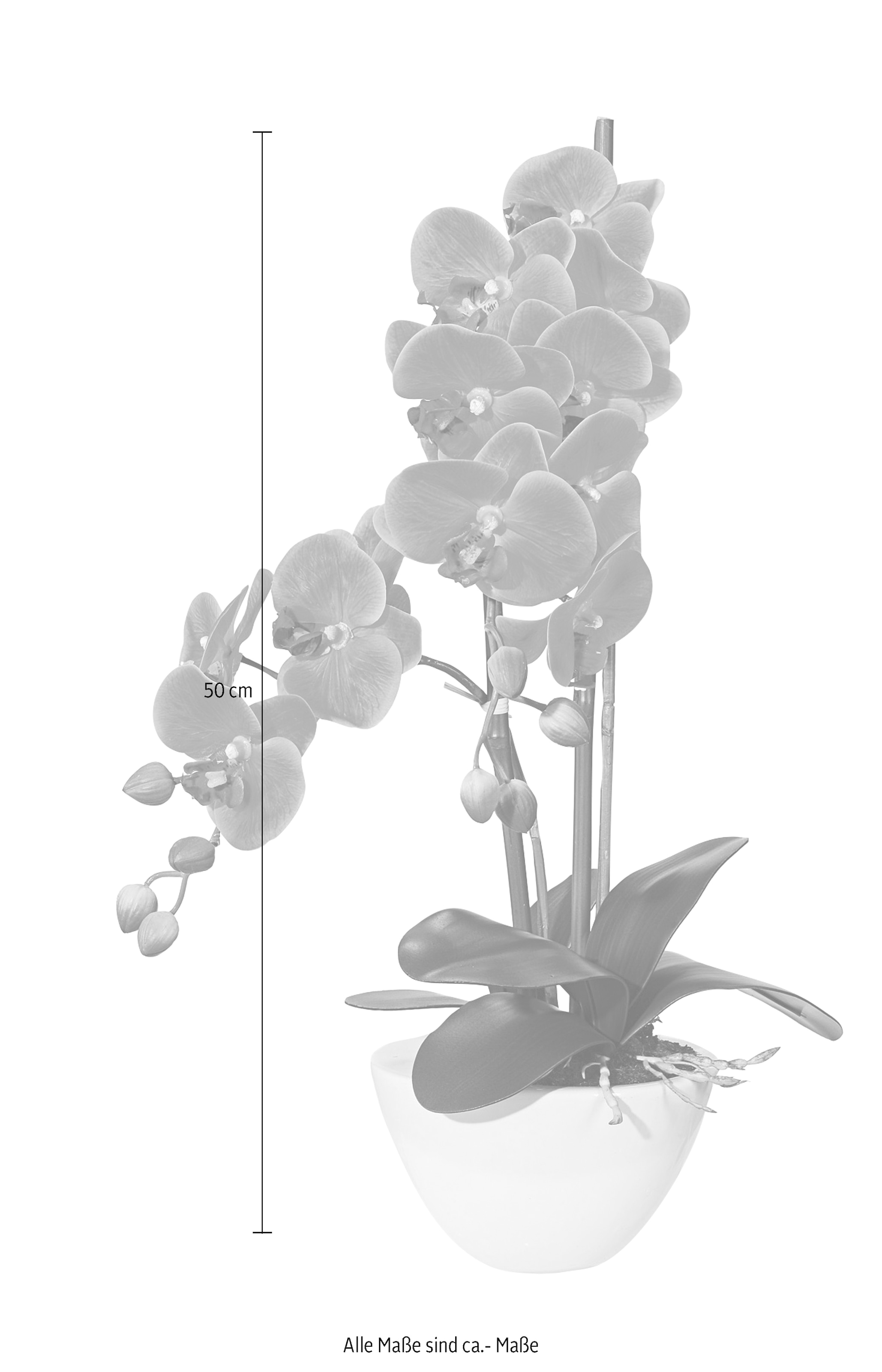 Creativ green Kunstpflanze »Orchidee«