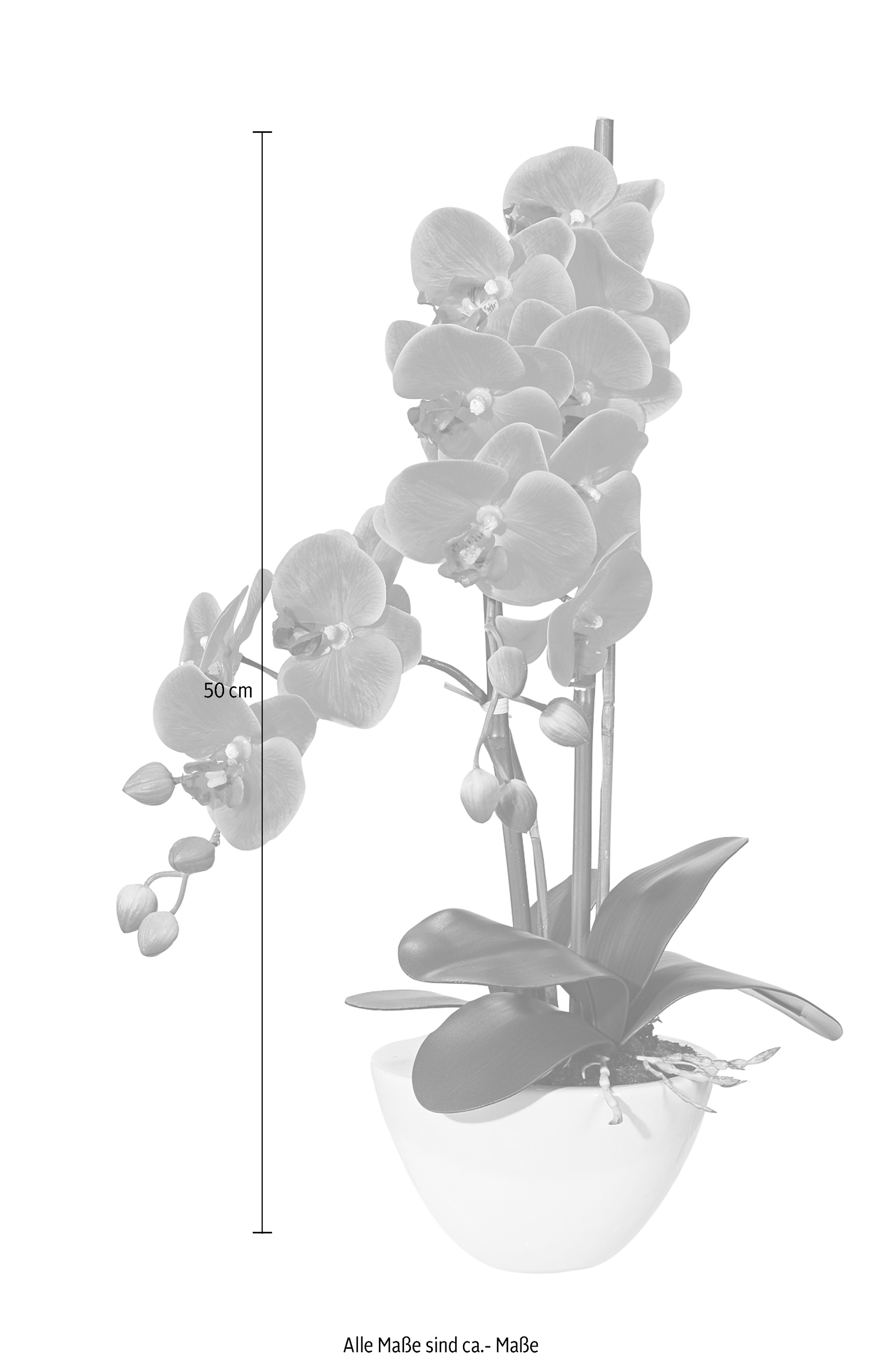 Creativ green Kunstpflanze "Orchidee" günstig online kaufen