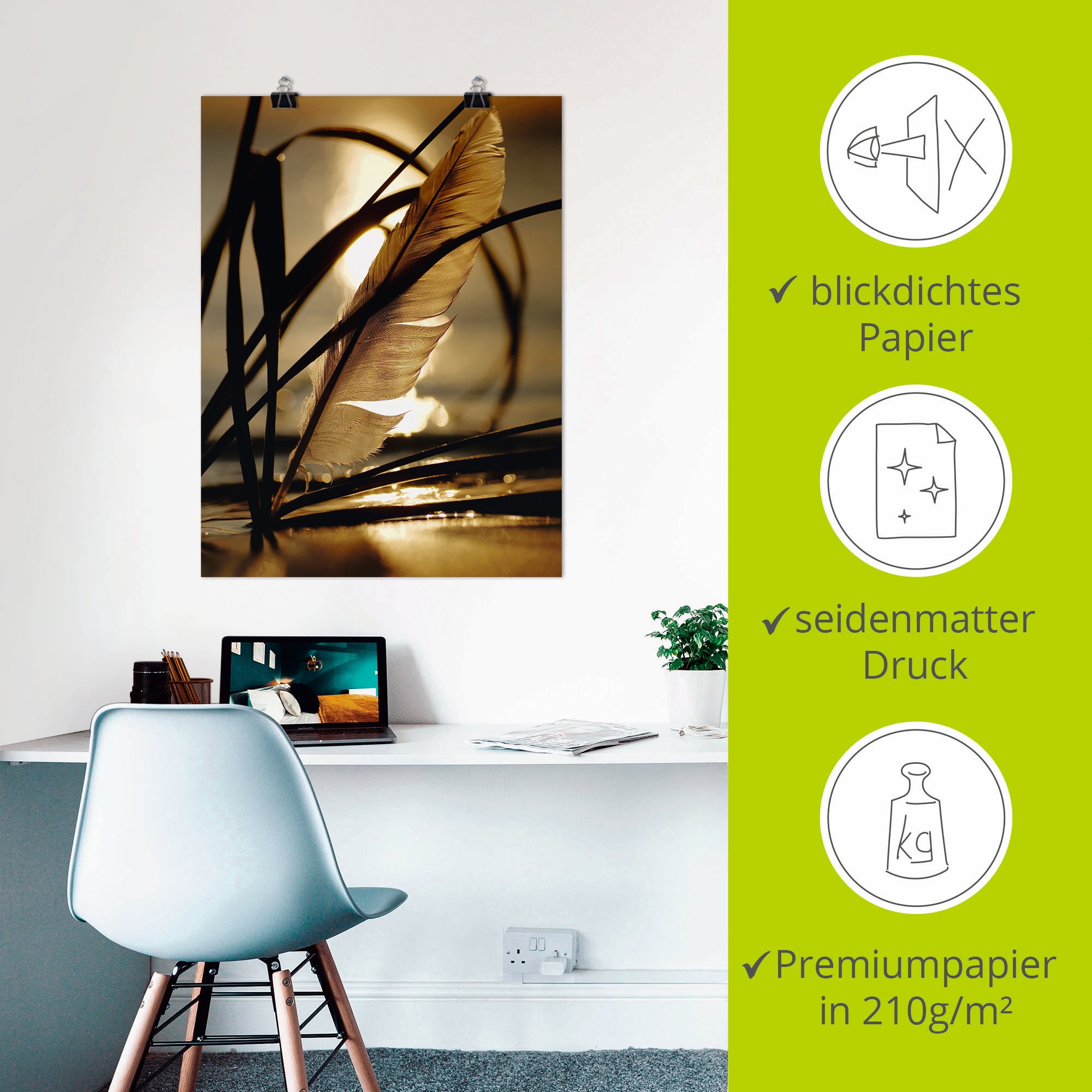 Artland Wandbild »Feder im Abendlicht«, Gräser, (1 St.), als Leinwandbild, Poster, Wandaufkleber in verschied. Größen