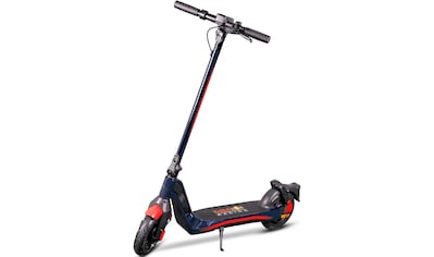 E-Scooter »E-Scooter RS 900«, 20 km/h, 35 km