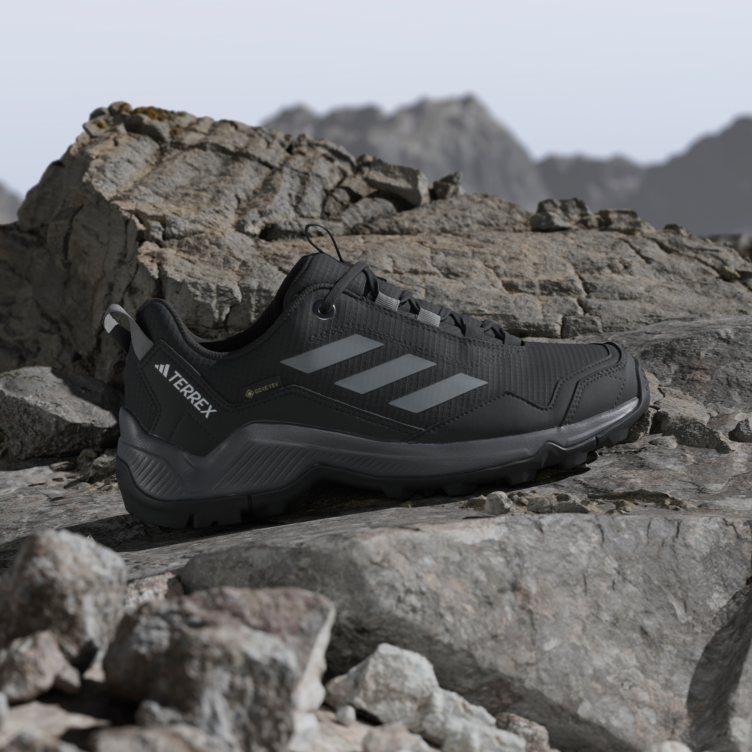 adidas TERREX Wanderschuh »TERREX EASTRAIL GORE-TEX«