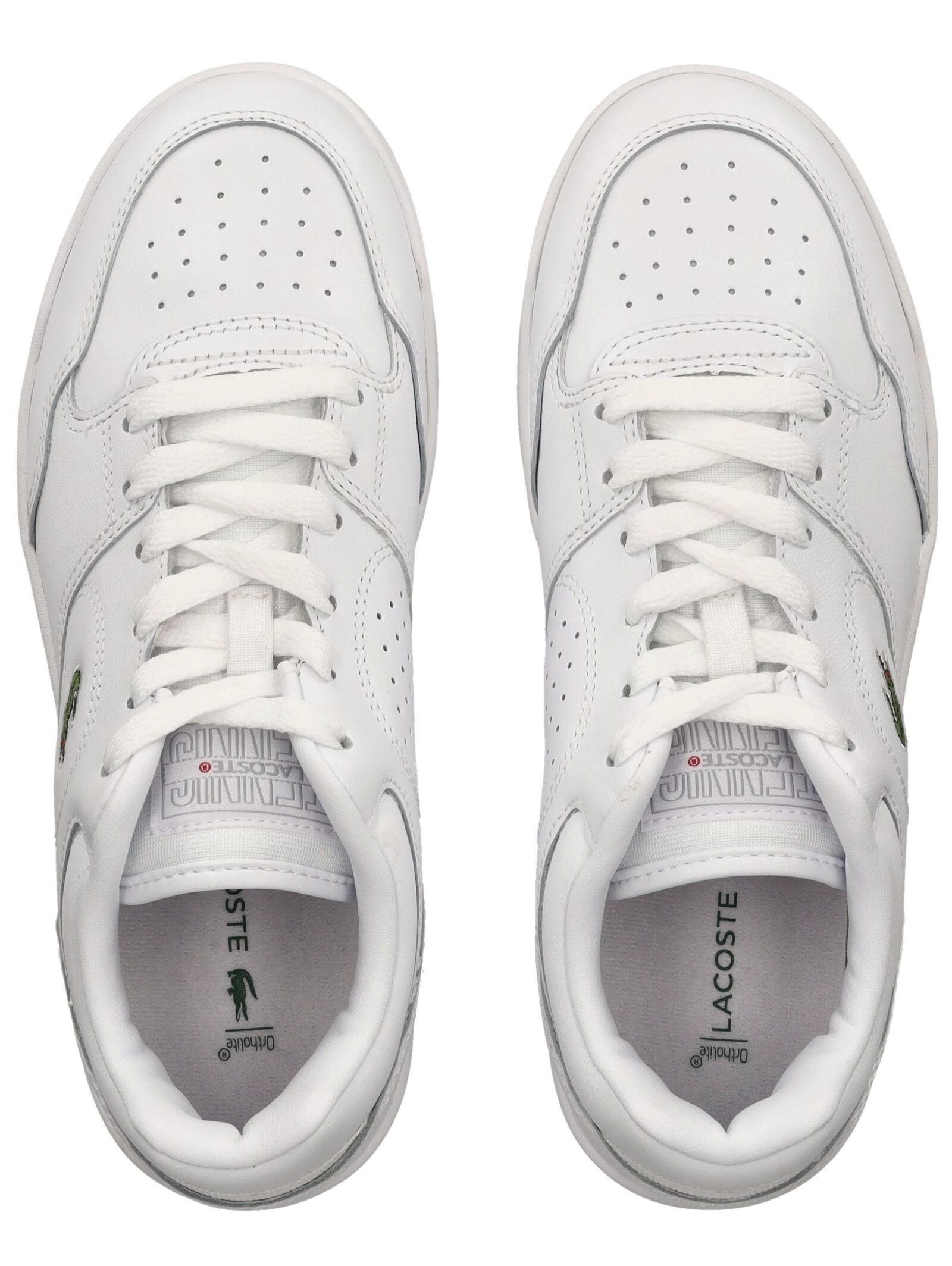 Lacoste Sneaker »lacoste Sneaker Leder/Textil«