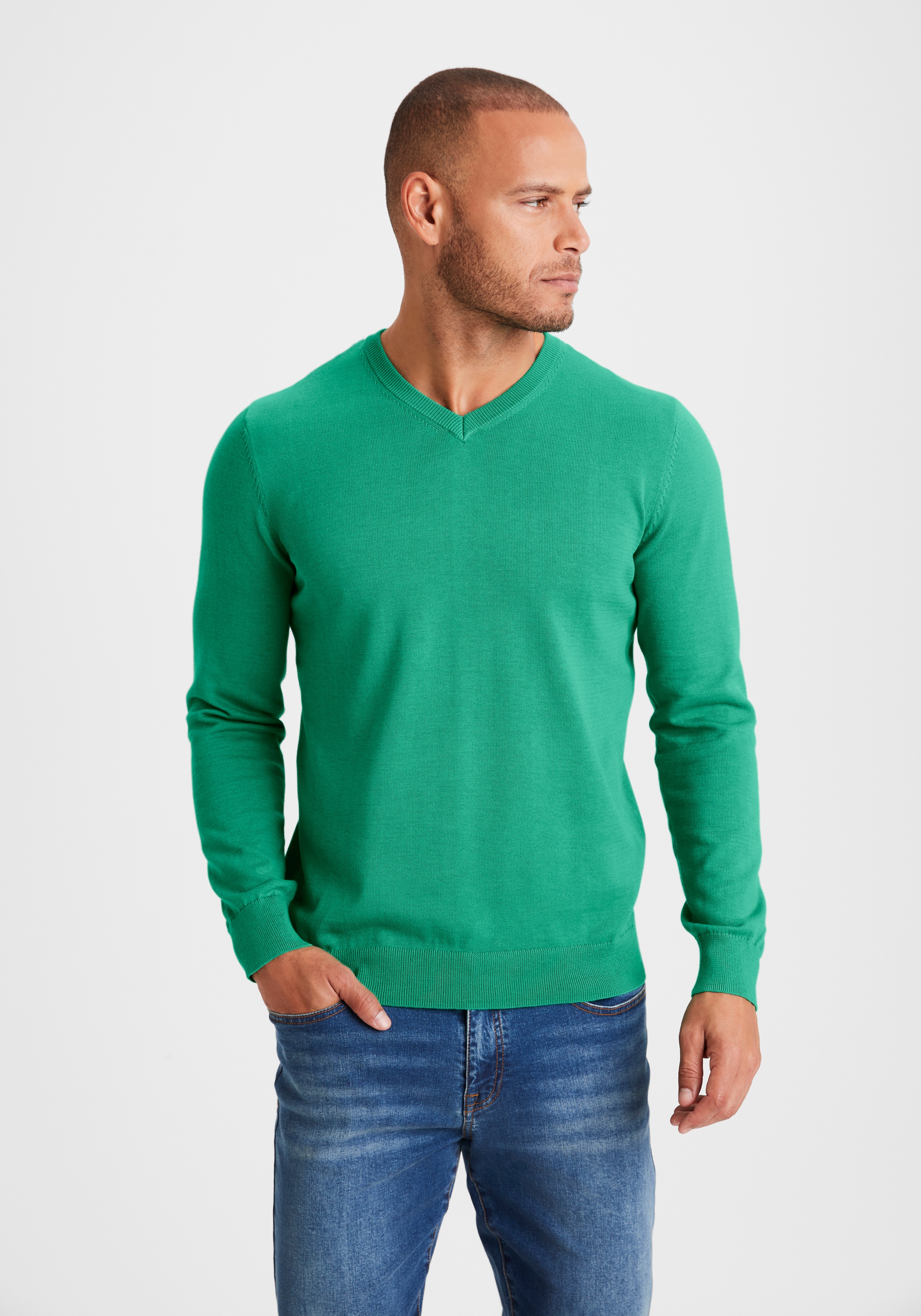 Strickpullover H.I.S, Herren, Gr. XL (56/58), grün, Feinstrick, Obermaterial: 60% Baumwolle, 40% Polyester, unifarben, Basic, regular fit normal, V-Ausschnitt, Strickbündchen, Pullover Strickpullover, mit V-Ausschnitt, Pullover aus Feinstrick, Baumwollmis 3